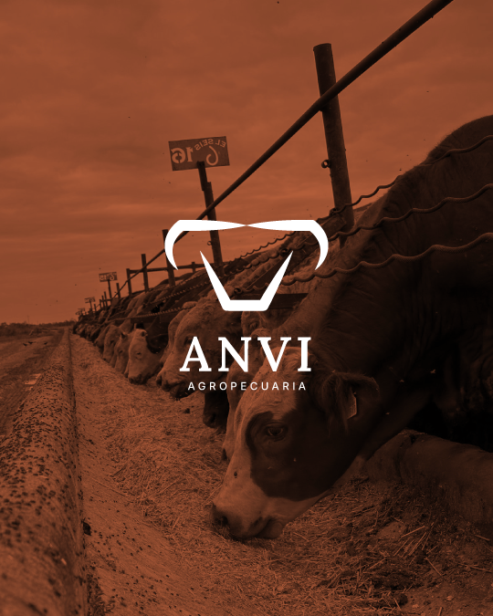 image of open office space (for a hr tech)